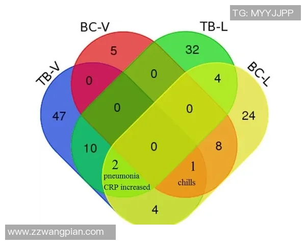 深入探讨上海足球队技术表现的数据分析与战术优化研究